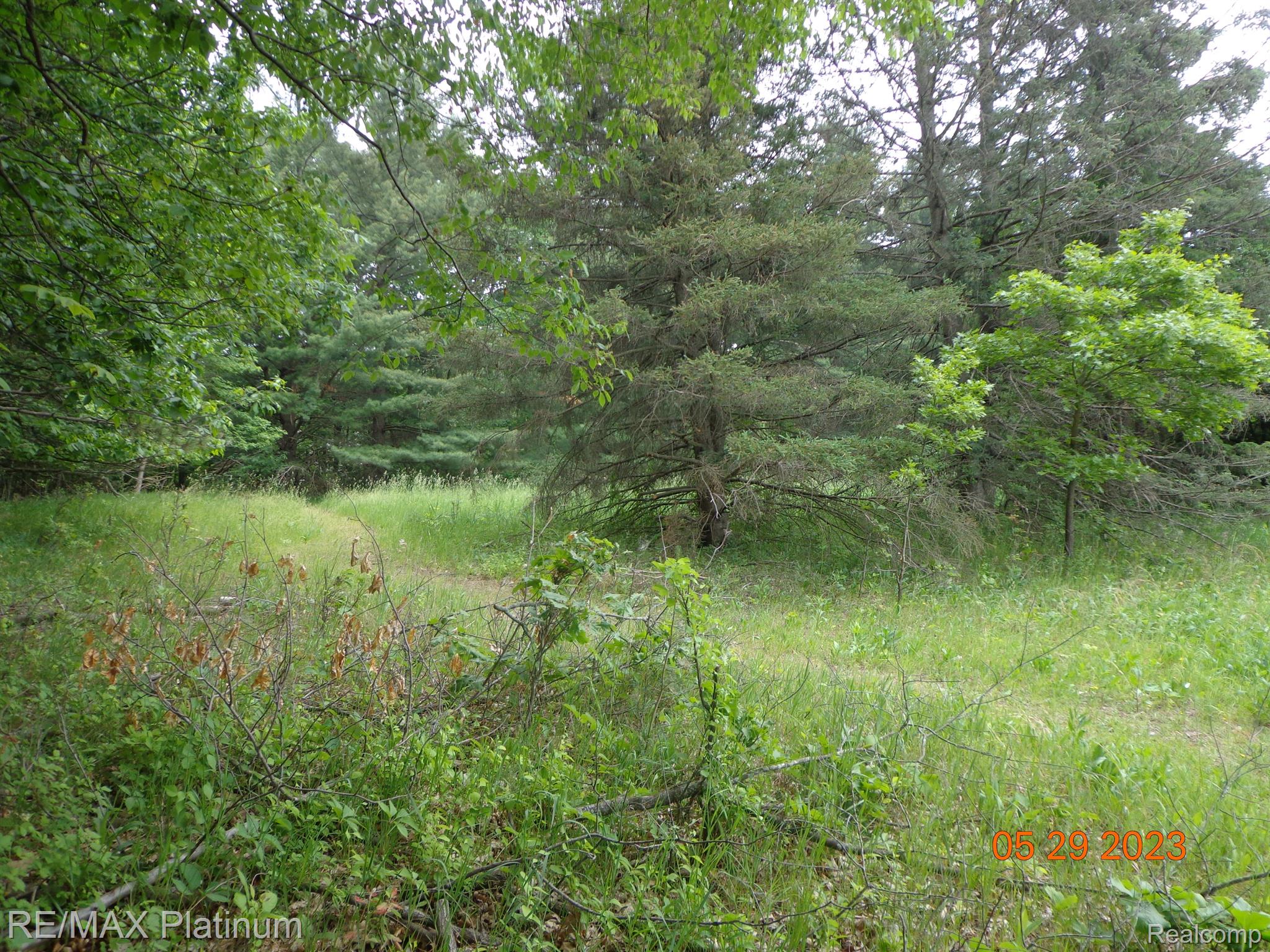 Vl Denton Hill Road Fenton, MI 48430 - Photo 7 of 8 Gallery Image 7