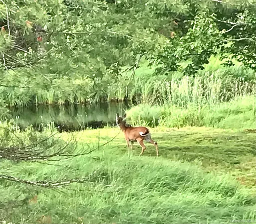 a view of a lake view