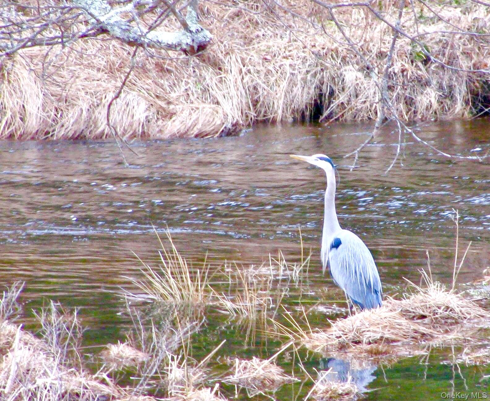 26 Valley Road Forestburgh, NY 12777 - Photo 6 of 33 a backyard of a house