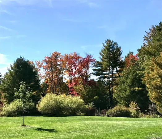 a big yard with lots of trees
