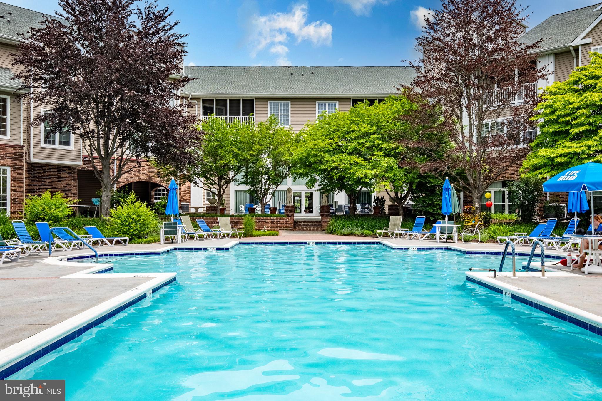 310 Canterbury Road Bel Air, MD 21014 - Photo 22 of 28 a view of a swimming pool with lawn chairs and plants