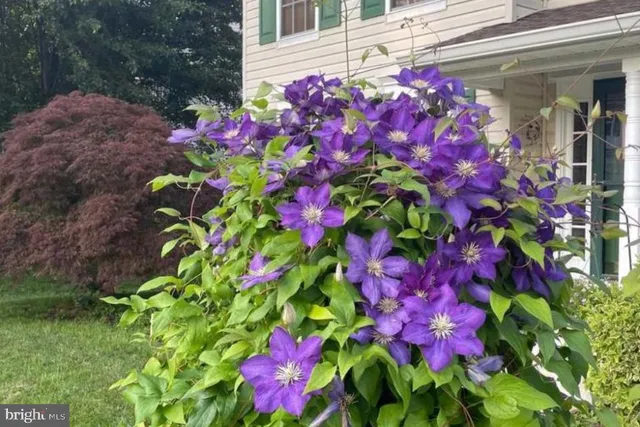 a picture of a room with a white wall and white paint