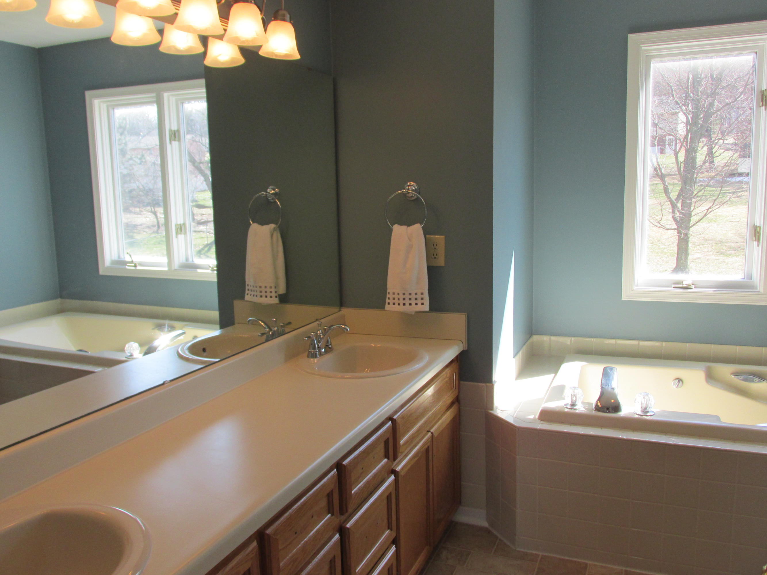 218 Winesap Road Roanoke, VA 24019 - Photo 14 of 33 Master bathroom