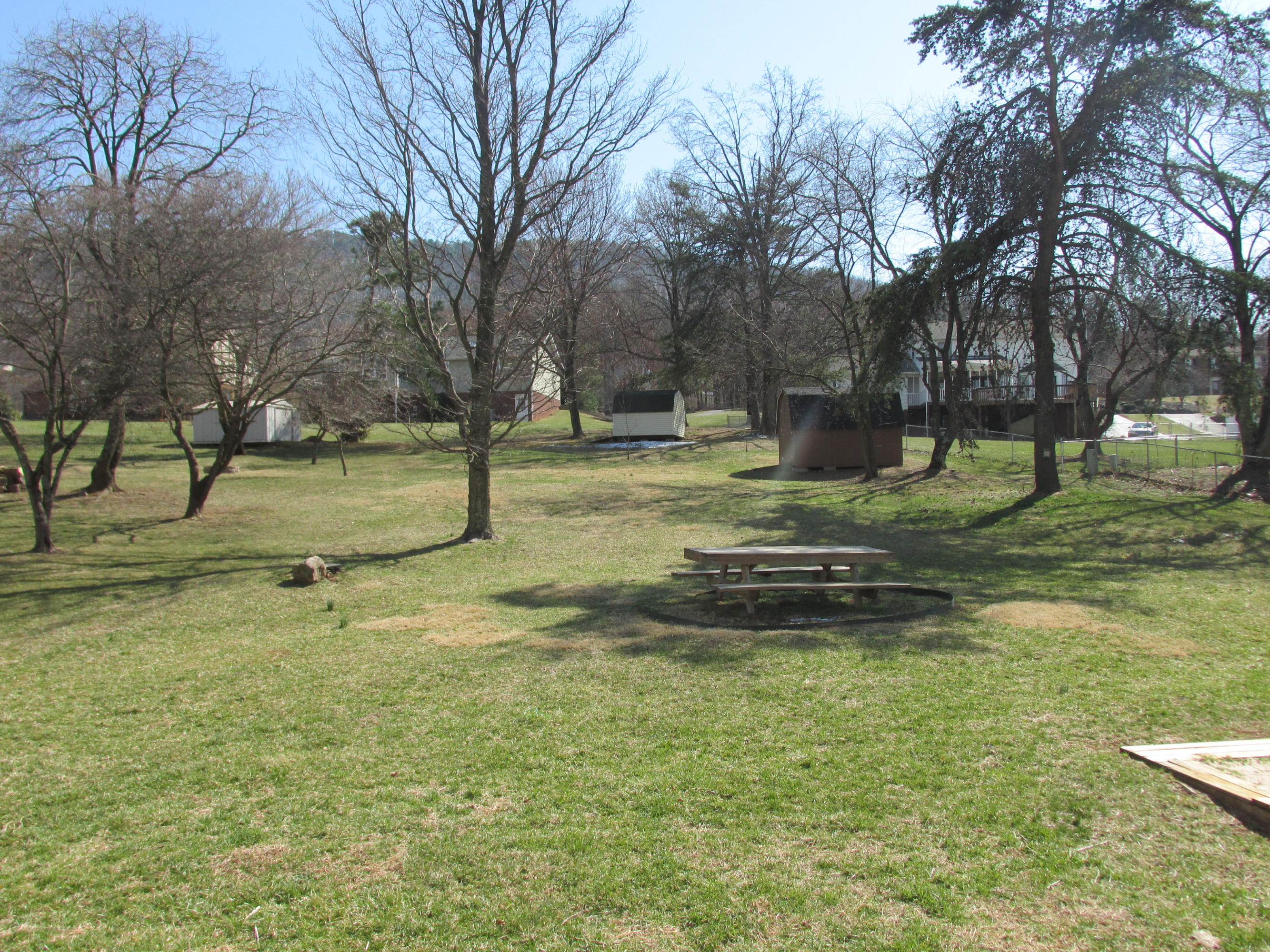 218 Winesap Road Roanoke, VA 24019 - Photo 27 of 33 Back yard