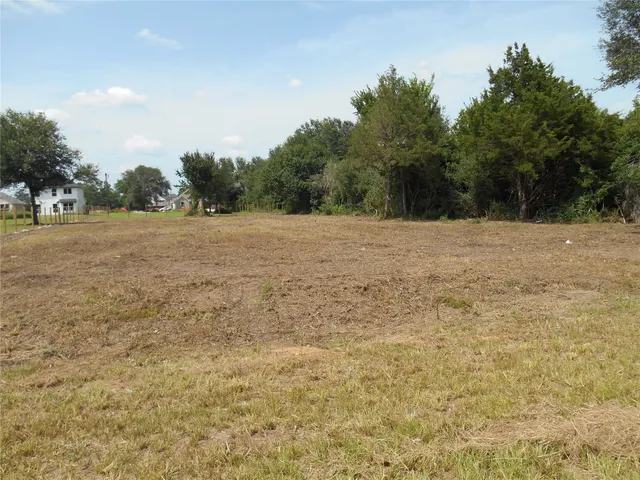 a big yard with trees in the background