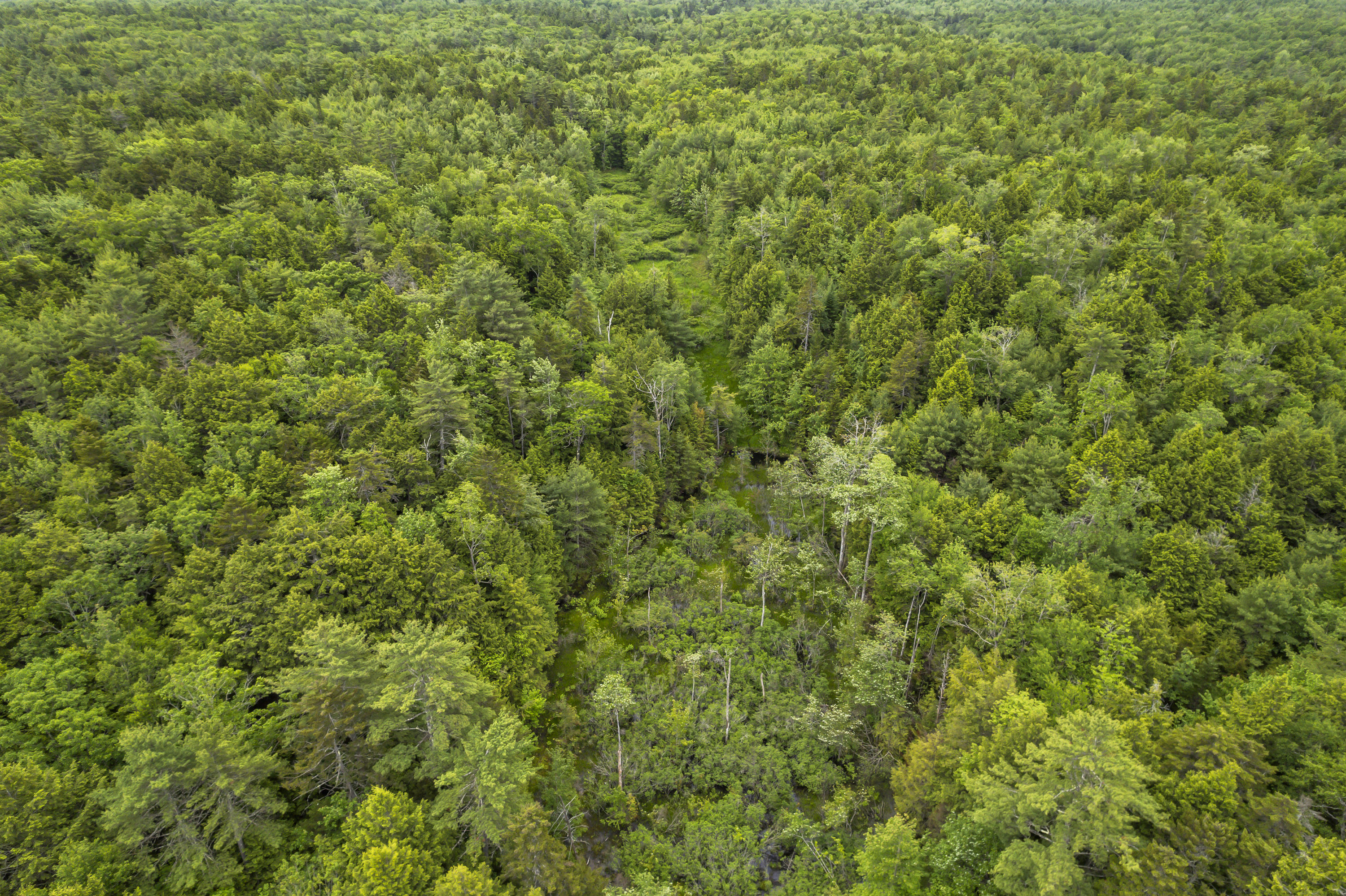 44 A Trott Road Woolwich, ME 04579 - Photo 31 of 37