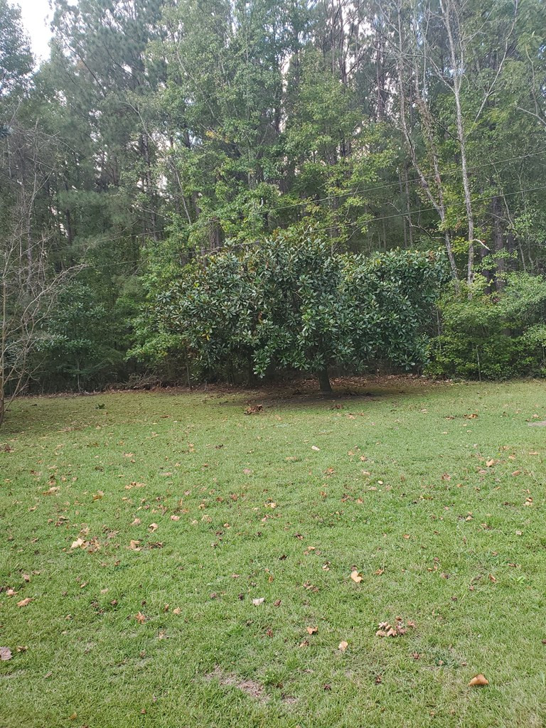 2210 West Brewington Road Sumter, SC 29153 - Photo 2 of 5 Gallery Image 2