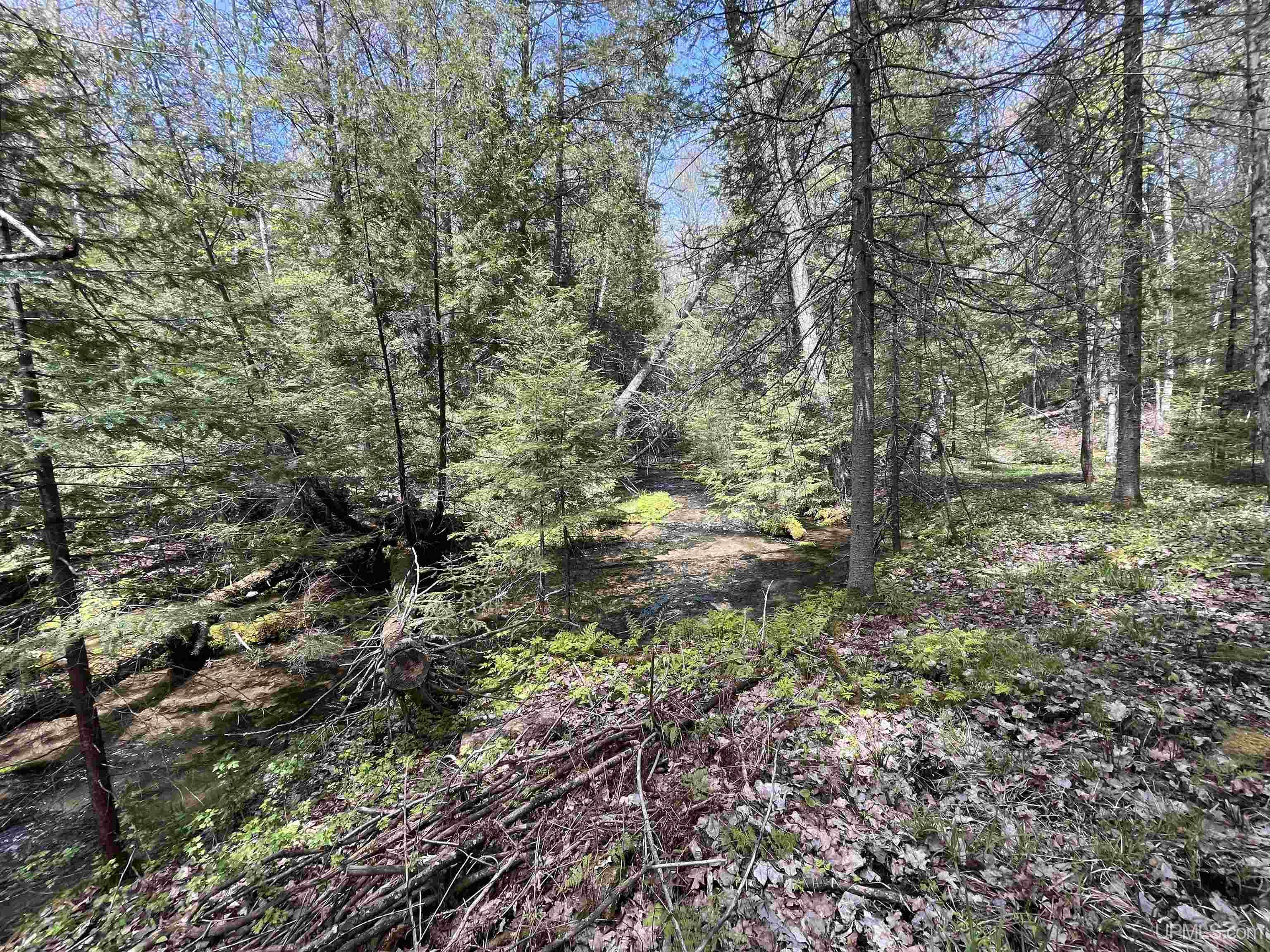 38-acres County Rd NA Road Marquette, MI 49855 - Photo 45 of 70