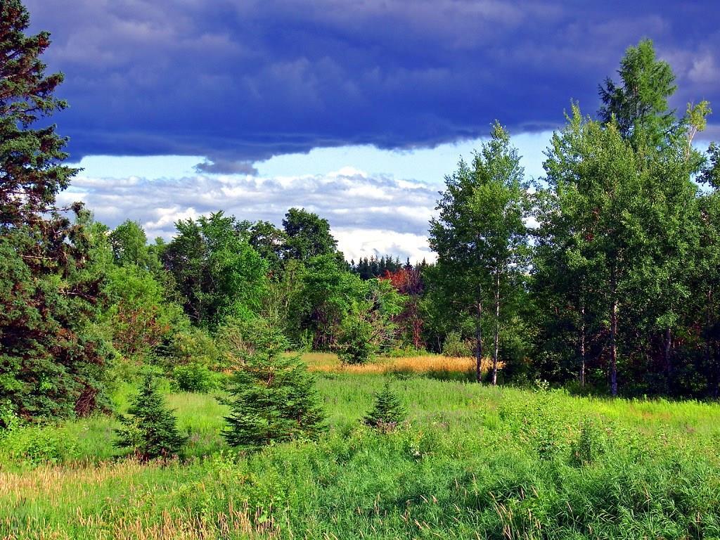 434 Fullerton Road Monticello, ME 04760 - Photo 5 of 31 Photo