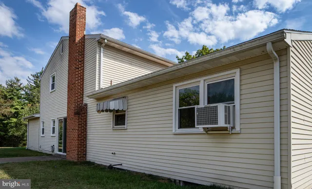 a view of a backyard with plants and large tree