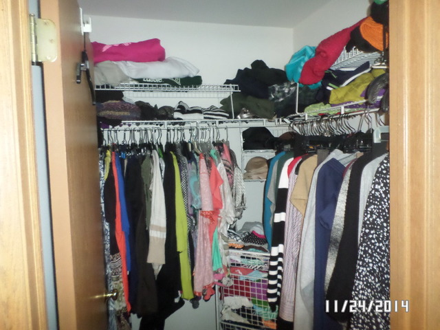 1490 Spring Brook Court, Unit 1G Round Lake Beach, IL 60073 - Photo 12 of 12 a view of walk in closet with clothes