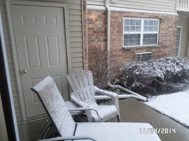 1490 Spring Brook Court, Unit 1G Round Lake Beach, IL 60073 - Photo 3 of 12 a view of balcony and chair