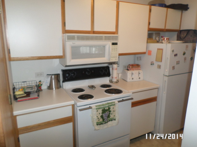 1490 Spring Brook Court, Unit 1G Round Lake Beach, IL 60073 - Photo 4 of 12 a utility room with dryer and washer