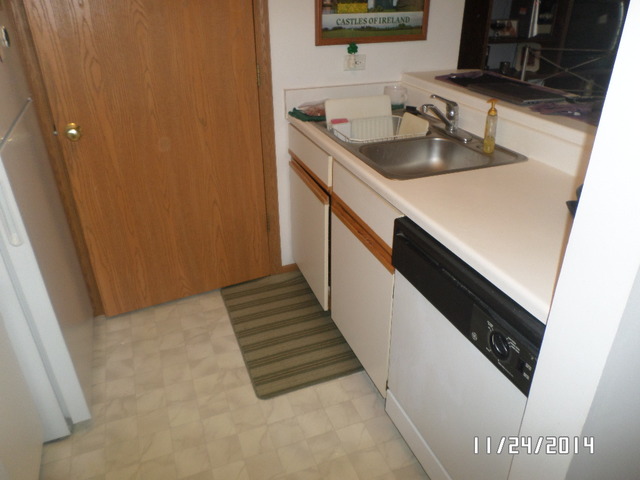 1490 Spring Brook Court, Unit 1G Round Lake Beach, IL 60073 - Photo 5 of 12 a kitchen with sink a refrigerator and cabinets