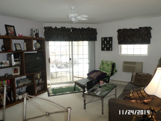 1490 Spring Brook Court, Unit 1G Round Lake Beach, IL 60073 - Photo 9 of 12 a living room with furniture a window and a flat screen tv