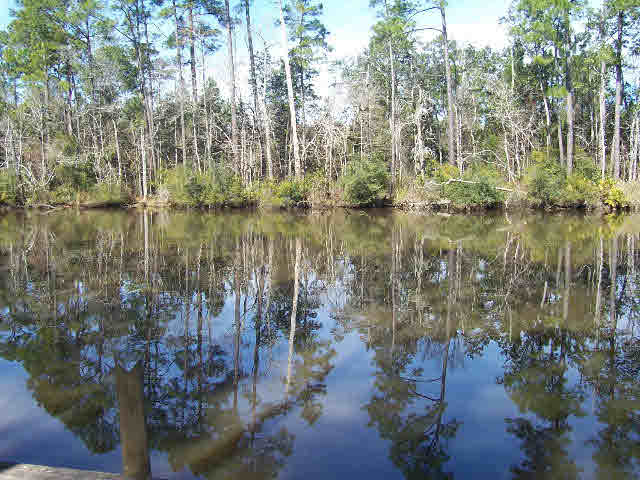 9511 Redfish Drive Elberta, AL 36530 - Photo 7 of 8