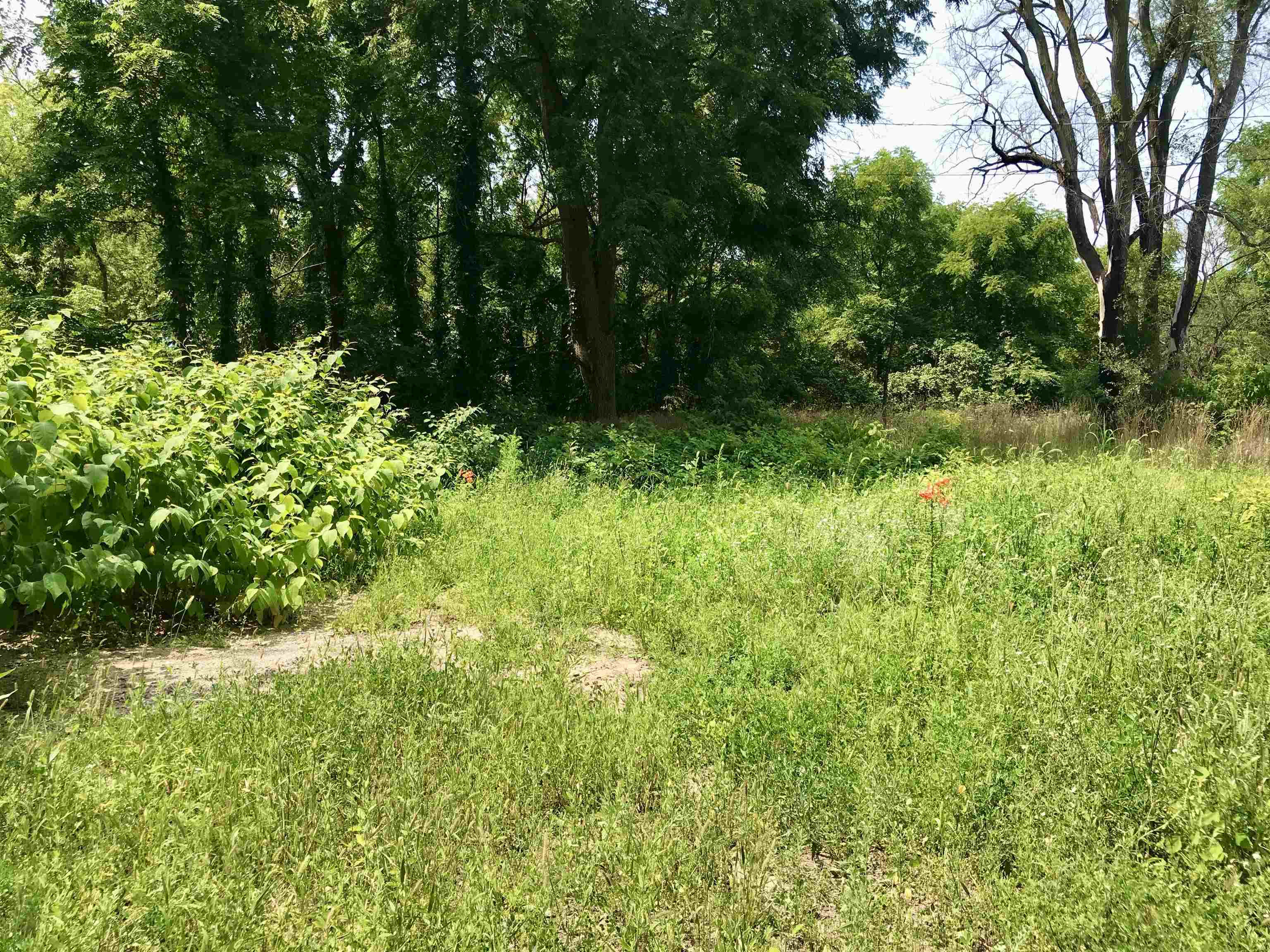 3382 South Isabella Road Mount Pleasant, MI 48858 - Photo 5 of 10 1925083-d13ce318-32ed-4b28-9883-27f162031267.JPG