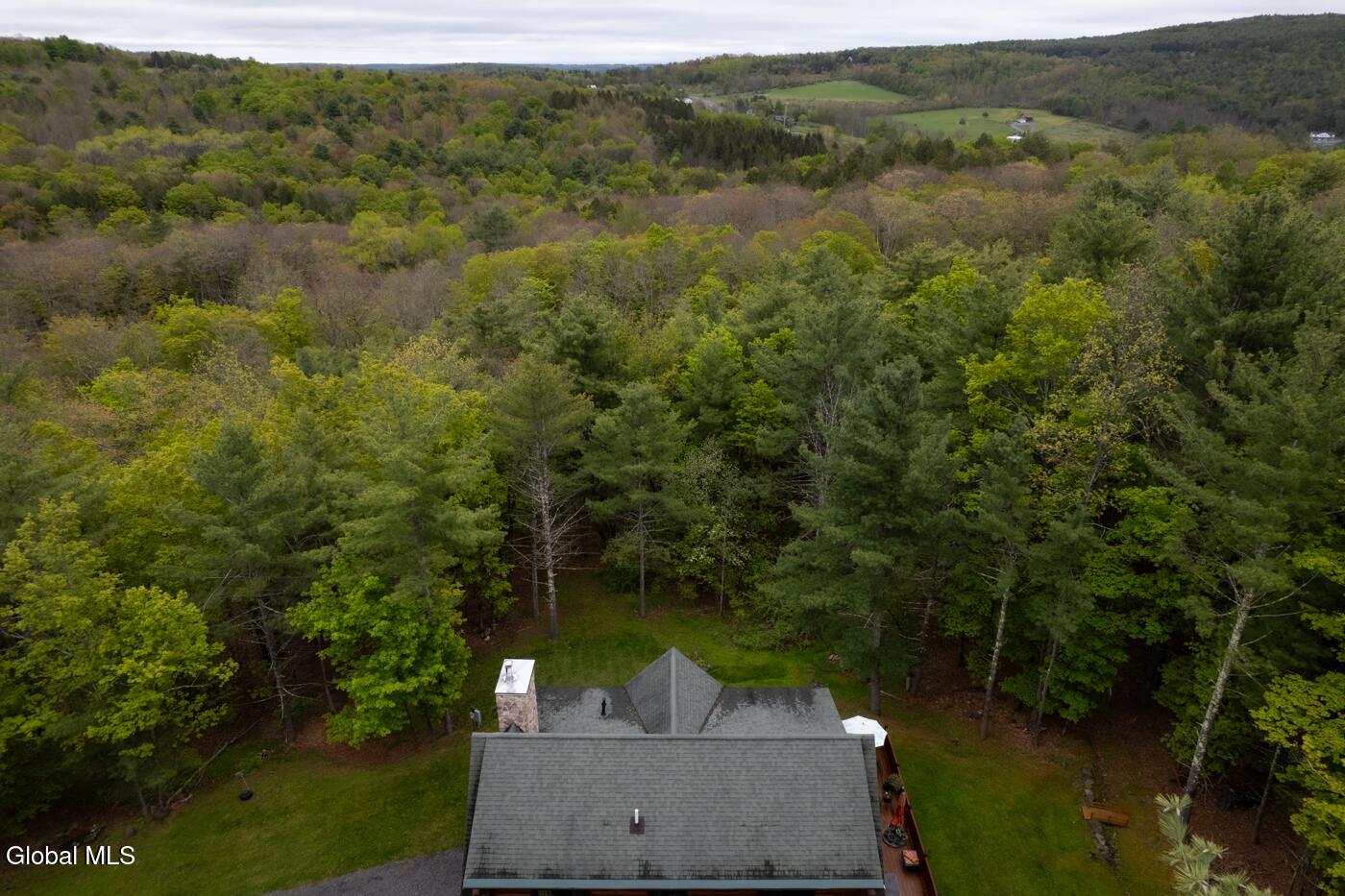 47 Roney Road Rensselaerville, NY 12469 - Photo 78 of 80 47 Roney Rd_100