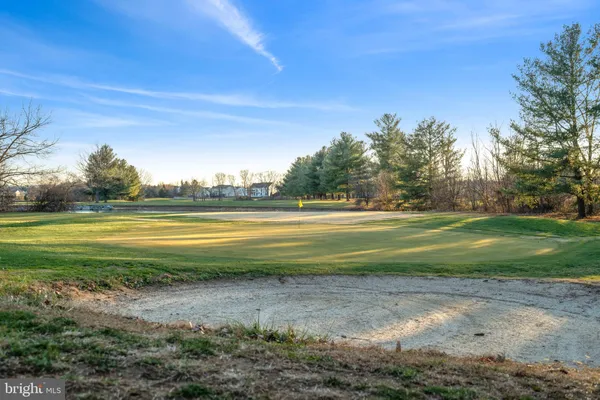 a view of a park with large trees