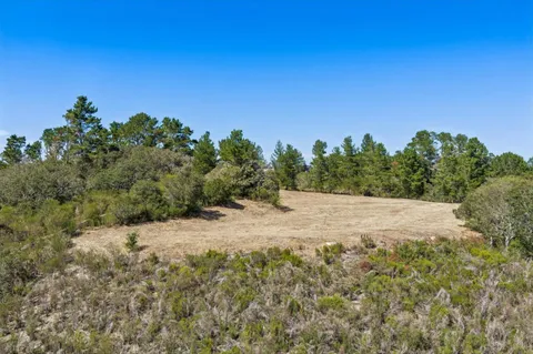 a view of a dry yard with trees in the background