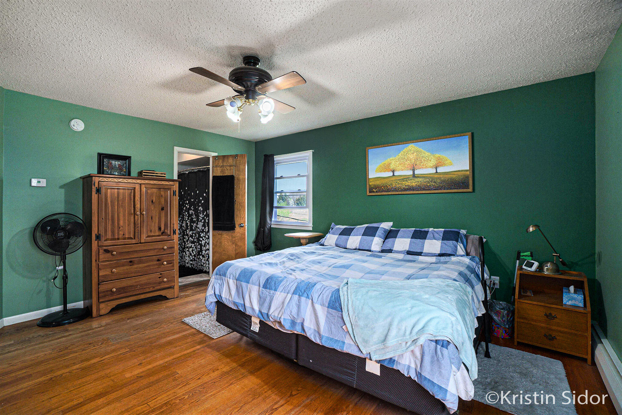 2172 West Washington Road Ithaca, MI 48847 - Photo 10 of 20 NextDoorPhotos_15