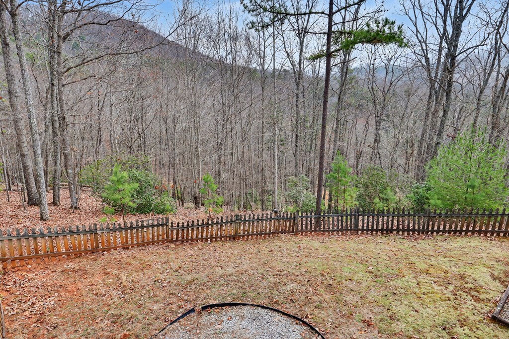 116 Wildwood Road Young Harris, GA 30582 - Photo 4 of 68