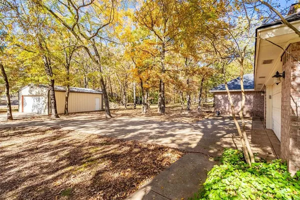 a view of a yard with plants and trees