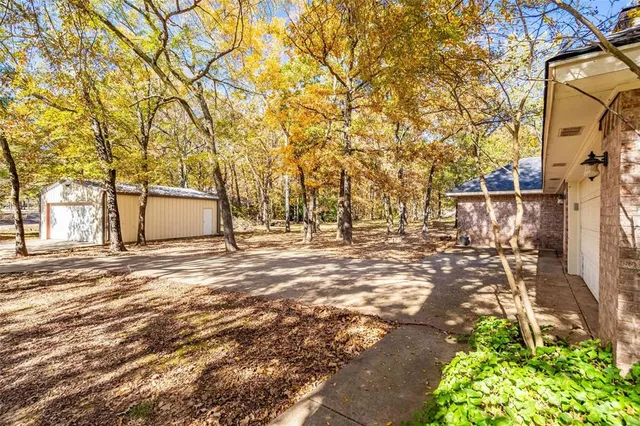 a view of a yard with plants and trees