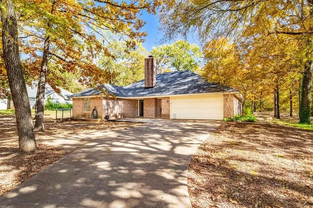 a view of a yard with a large tree