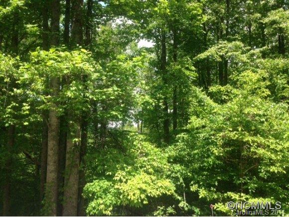 14 Old Tannassie Road Sylva, NC 28779 - Photo 3 of 3 a view of a lush green forest