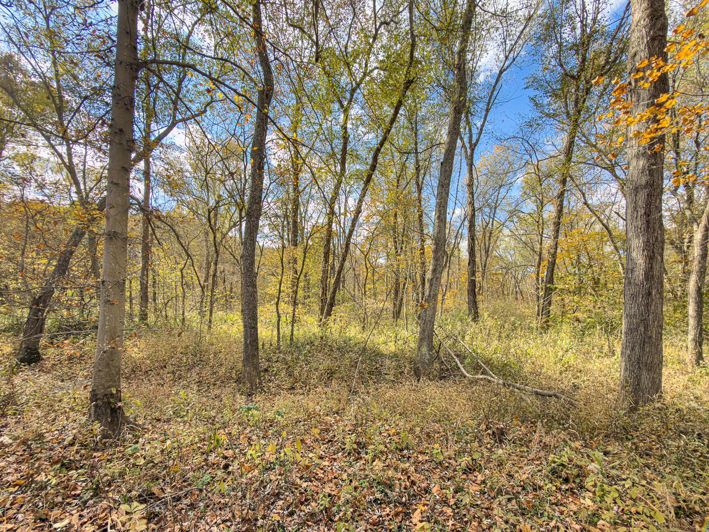 0 Hawk Station Road Wellston, OH 45692 - Photo 11 of 21 Thompsonville Rd 42-11