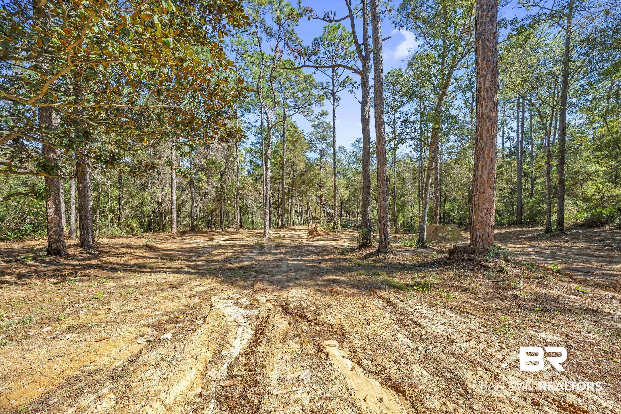 11010 Coleman Lane Elberta, AL 36530 - Photo 9 of 23