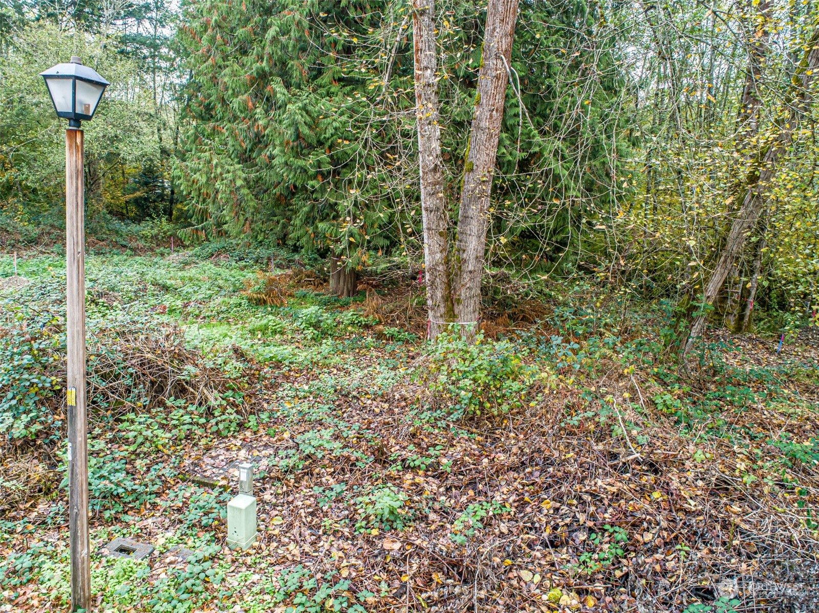 0 South 357th Street Federal Way, WA 98003 - Photo 11 of 34