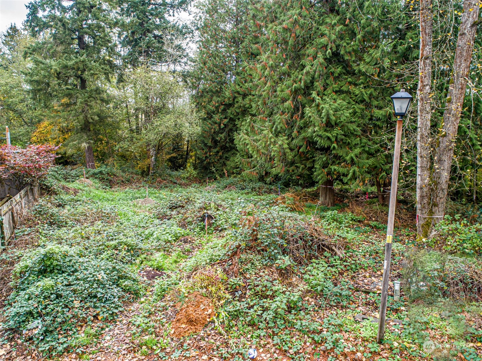 0 South 357th Street Federal Way, WA 98003 - Photo 12 of 34