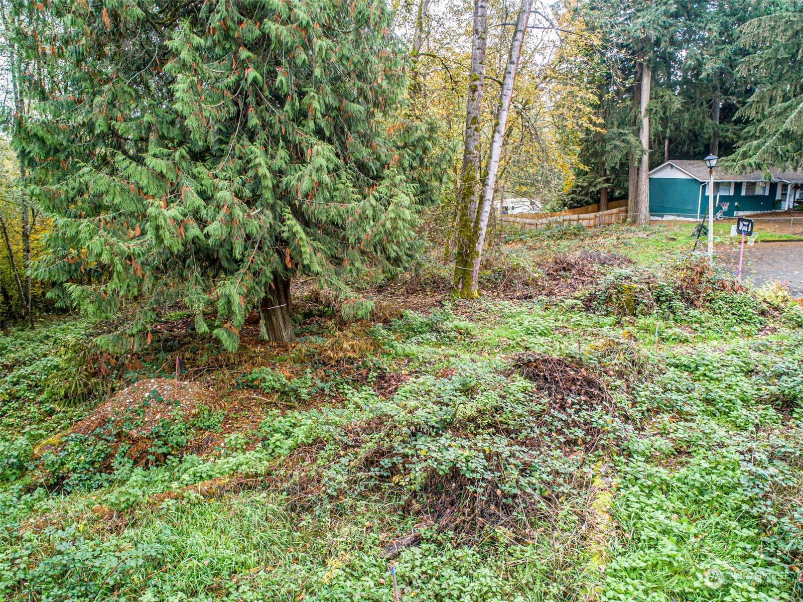 0 South 357th Street Federal Way, WA 98003 - Photo 13 of 34