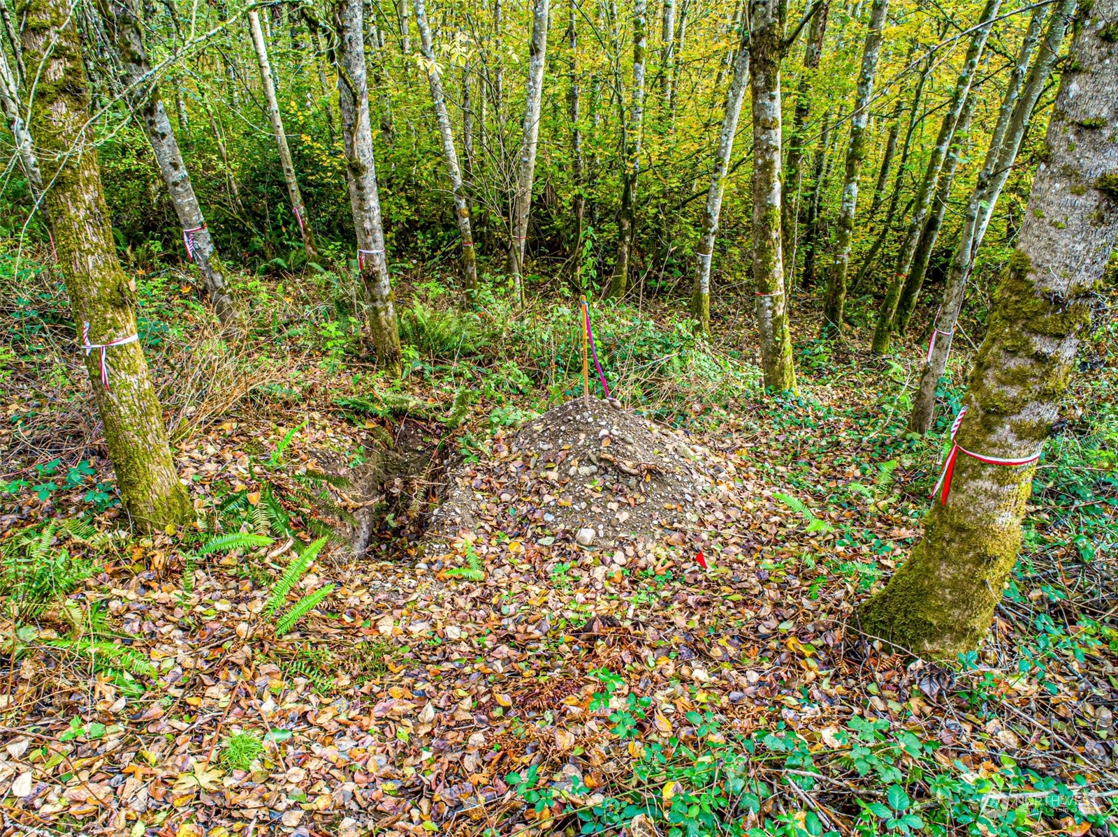 0 South 357th Street Federal Way, WA 98003 - Photo 16 of 34