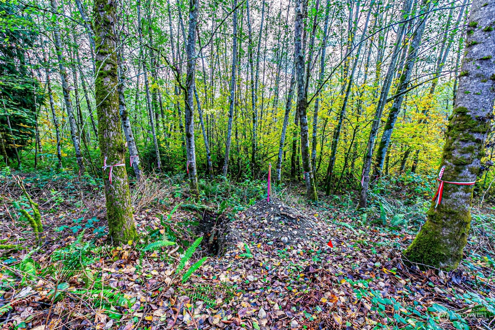 0 South 357th Street Federal Way, WA 98003 - Photo 17 of 34