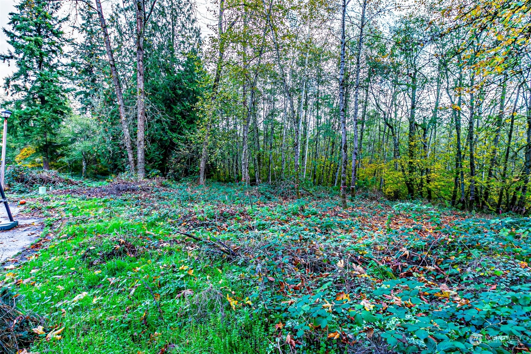 0 South 357th Street Federal Way, WA 98003 - Photo 19 of 34