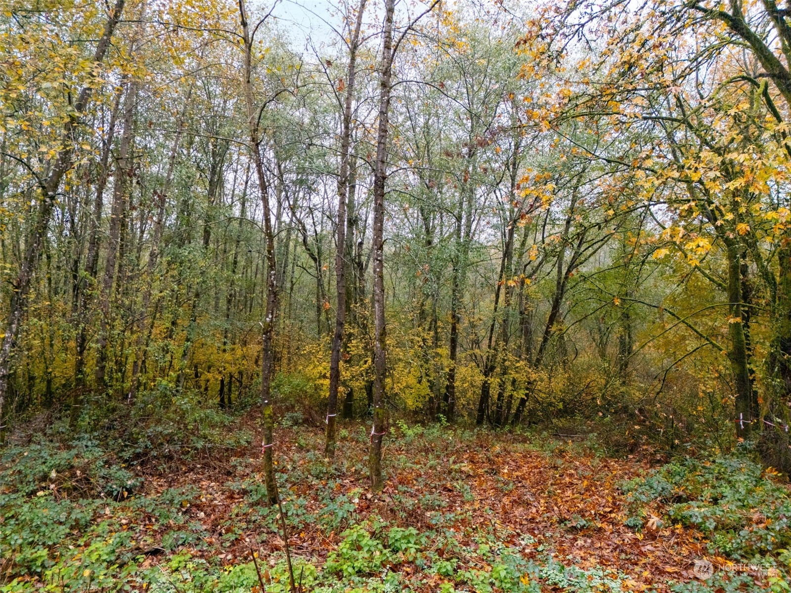 0 South 357th Street Federal Way, WA 98003 - Photo 20 of 34