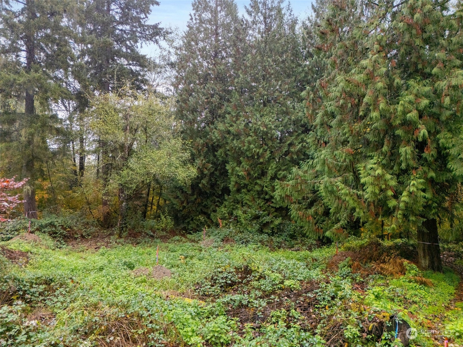 0 South 357th Street Federal Way, WA 98003 - Photo 21 of 34