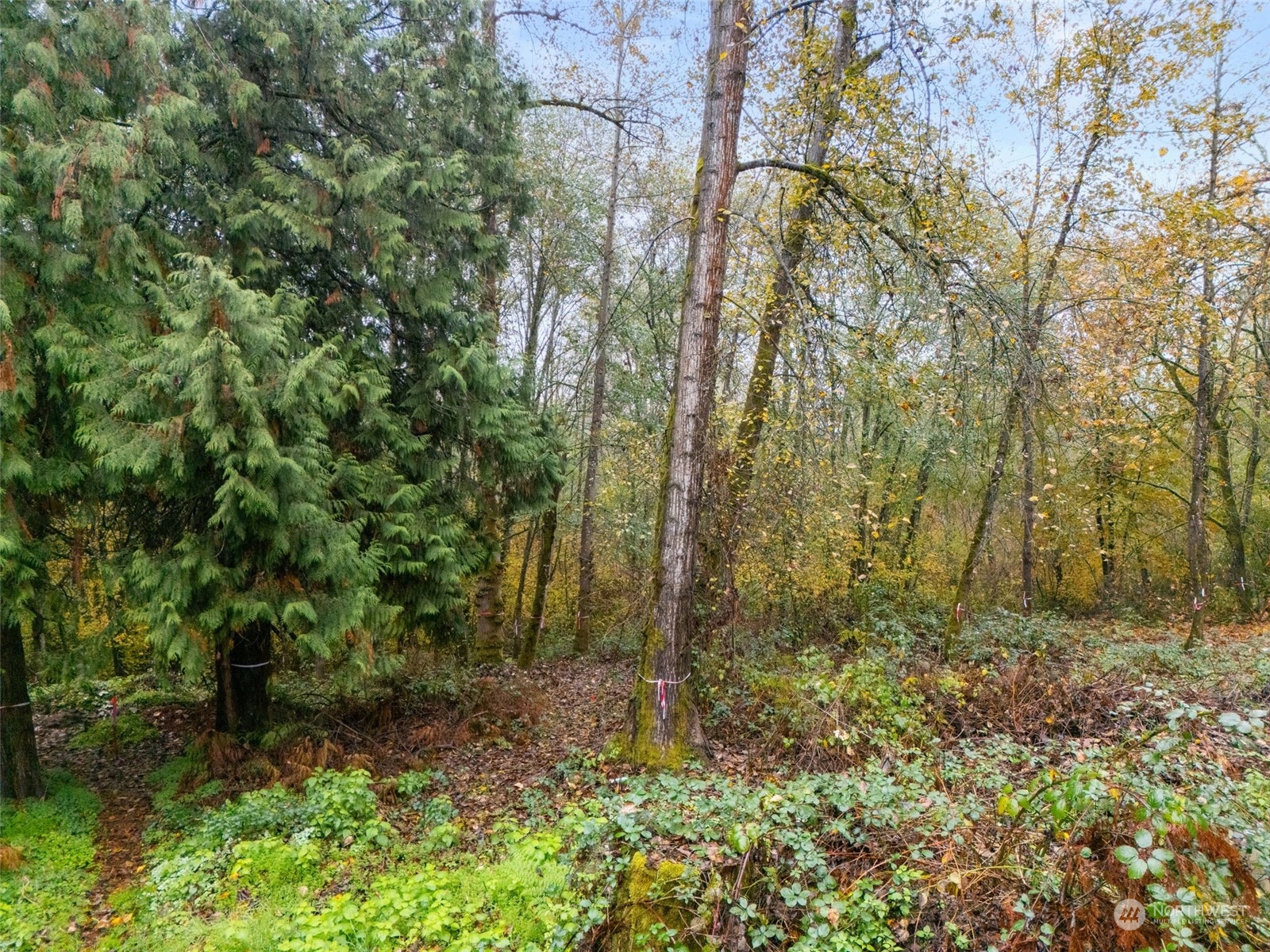 0 South 357th Street Federal Way, WA 98003 - Photo 22 of 34