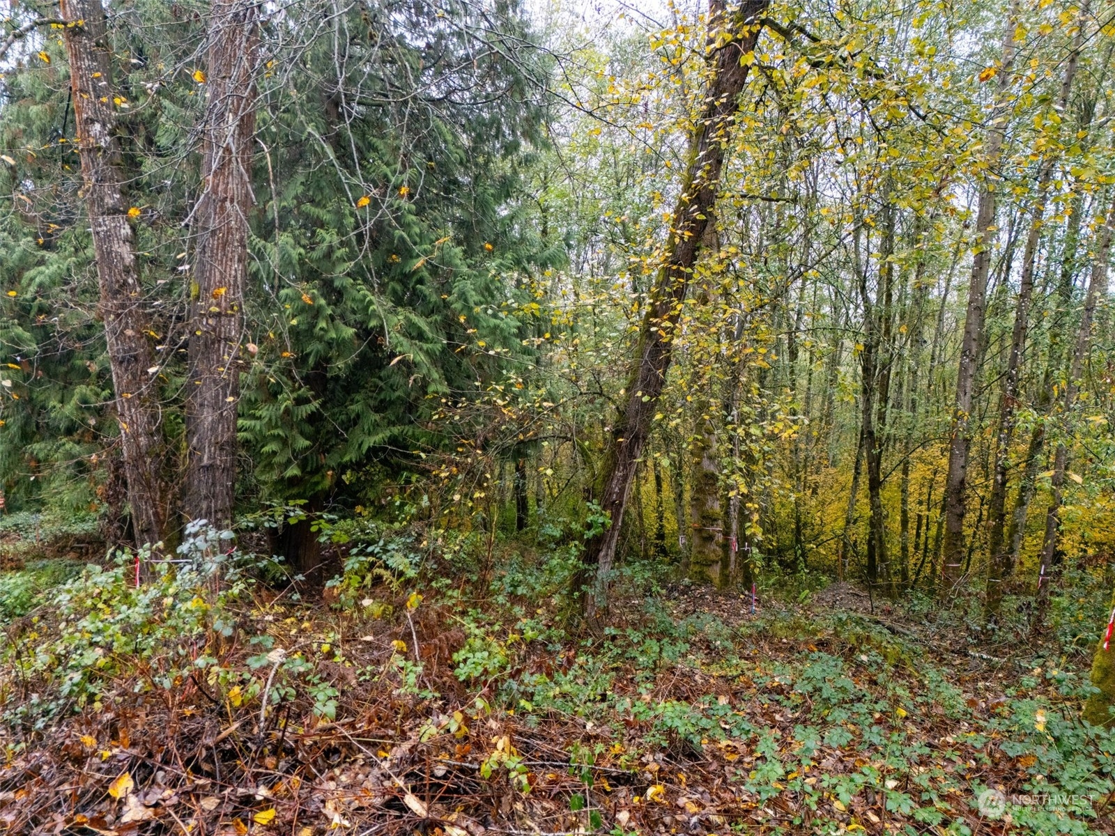 0 South 357th Street Federal Way, WA 98003 - Photo 24 of 34