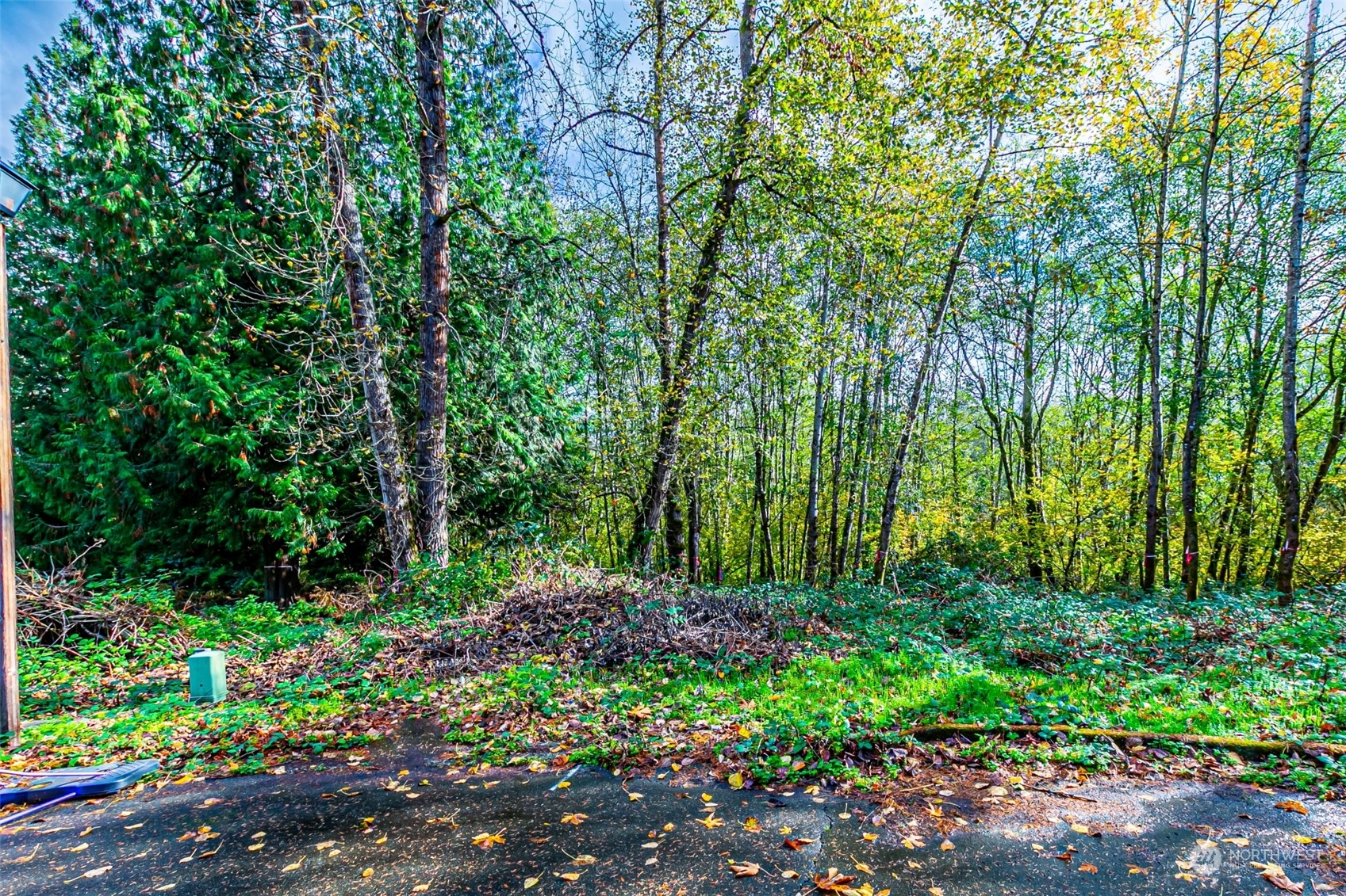 0 South 357th Street Federal Way, WA 98003 - Photo 25 of 34