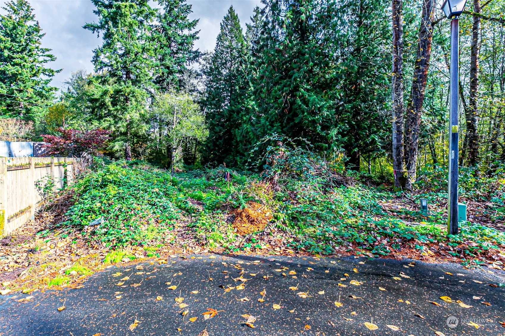 0 South 357th Street Federal Way, WA 98003 - Photo 26 of 34