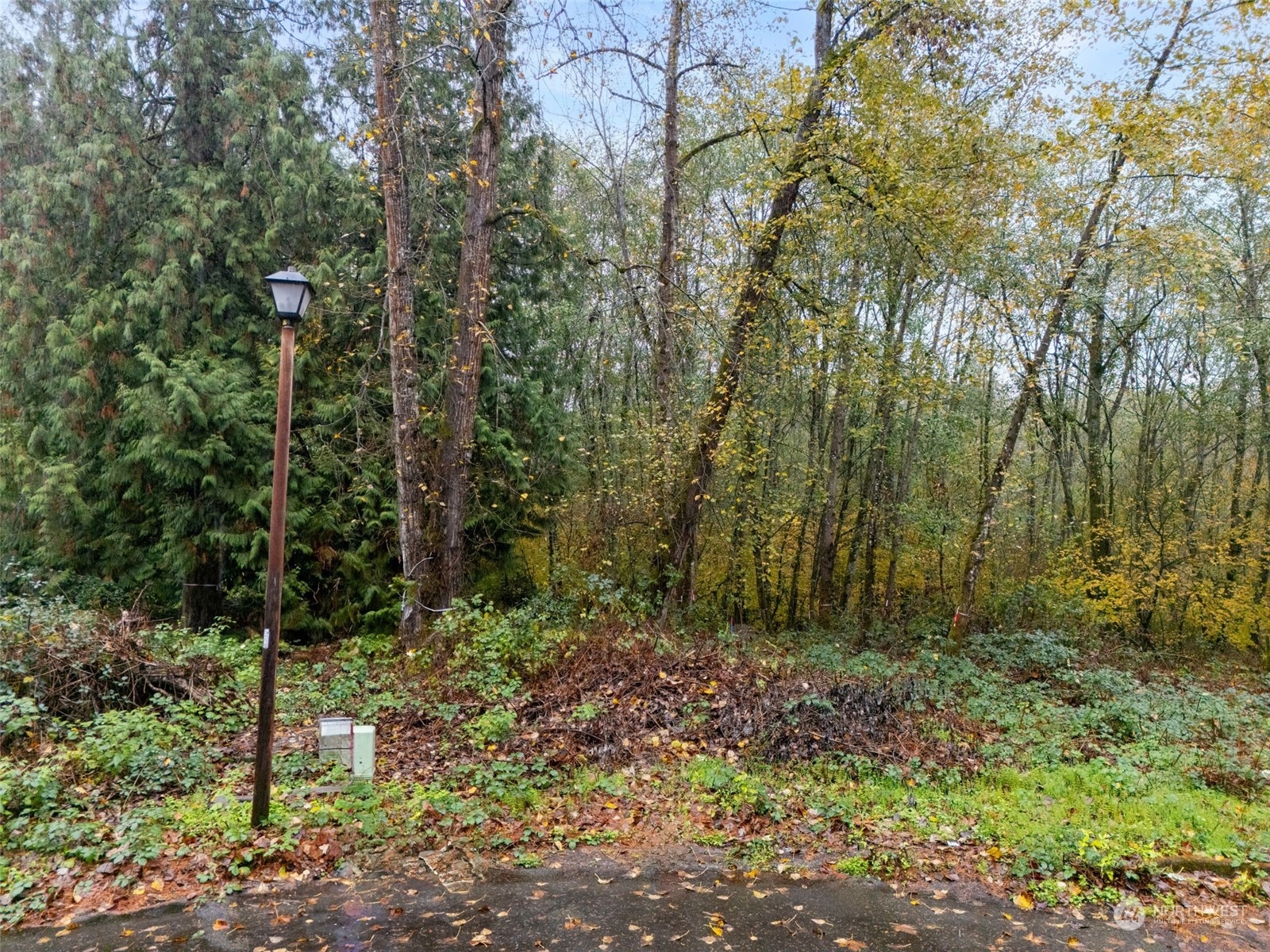 0 South 357th Street Federal Way, WA 98003 - Photo 27 of 34