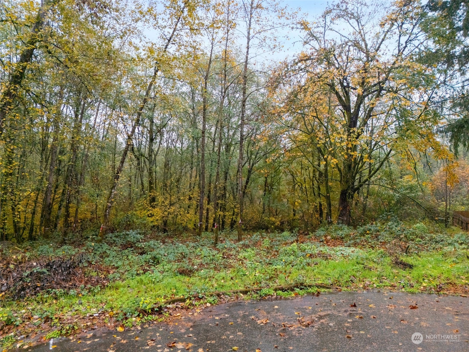 0 South 357th Street Federal Way, WA 98003 - Photo 28 of 34