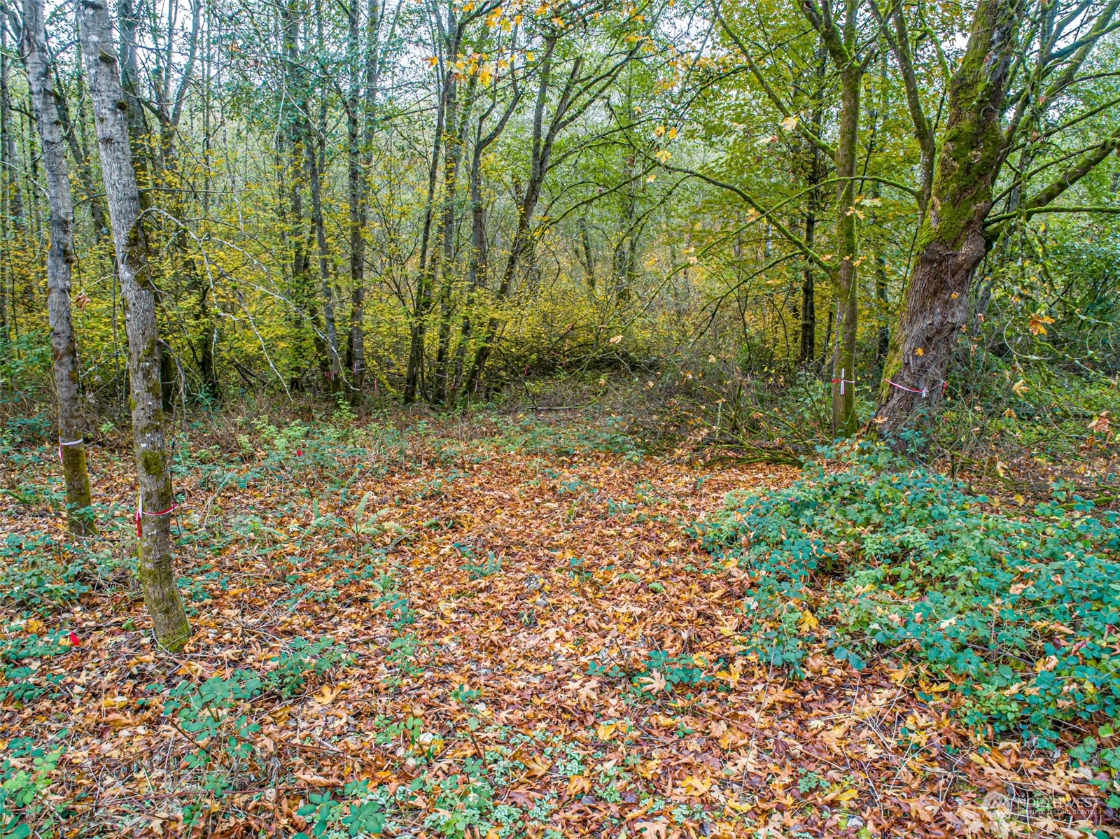 0 South 357th Street Federal Way, WA 98003 - Photo 9 of 34