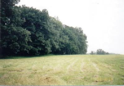 88888 Box Ankle Road Richmond, KY 40475 - Photo 2 of 14 Photo 2