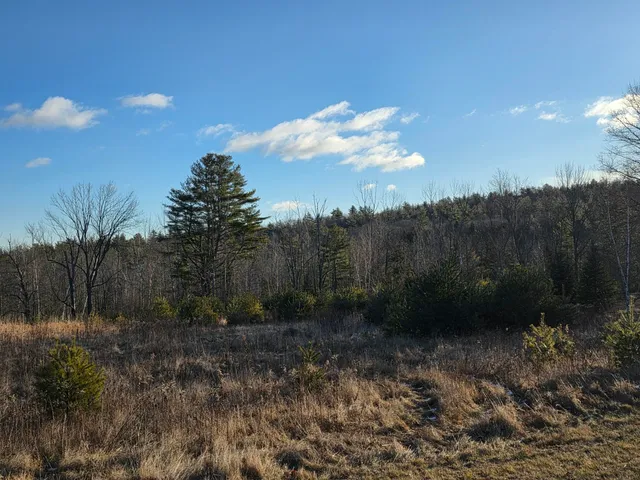 $250,000 | Lot 5 Pigeon Hill Road, Mechanic Falls, ME 04256