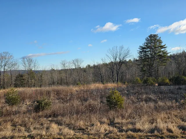 $250,000 | Lot 5 Pigeon Hill Road, Mechanic Falls, ME 04256